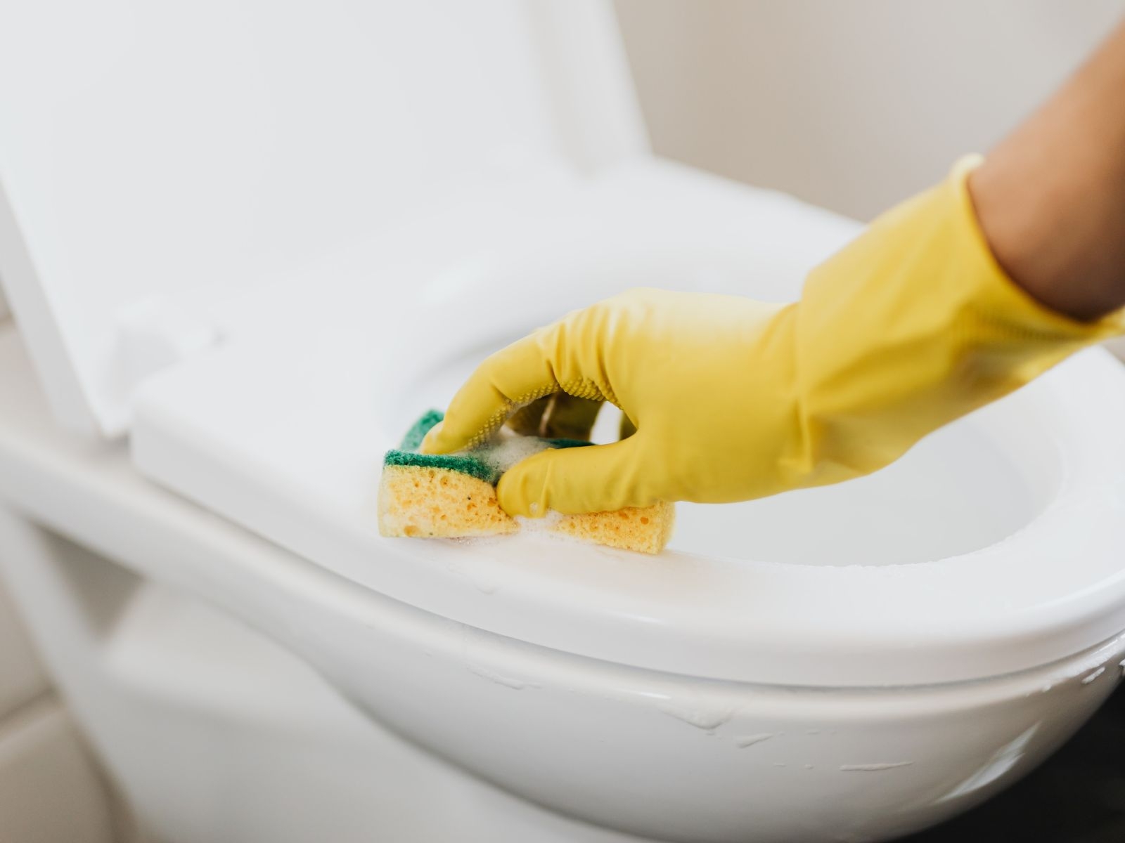 Customer Reviews Highlighting Cleaning Excellence