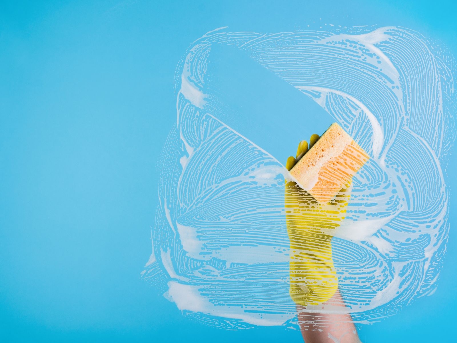 Whole Home Cleaning Packages for Families