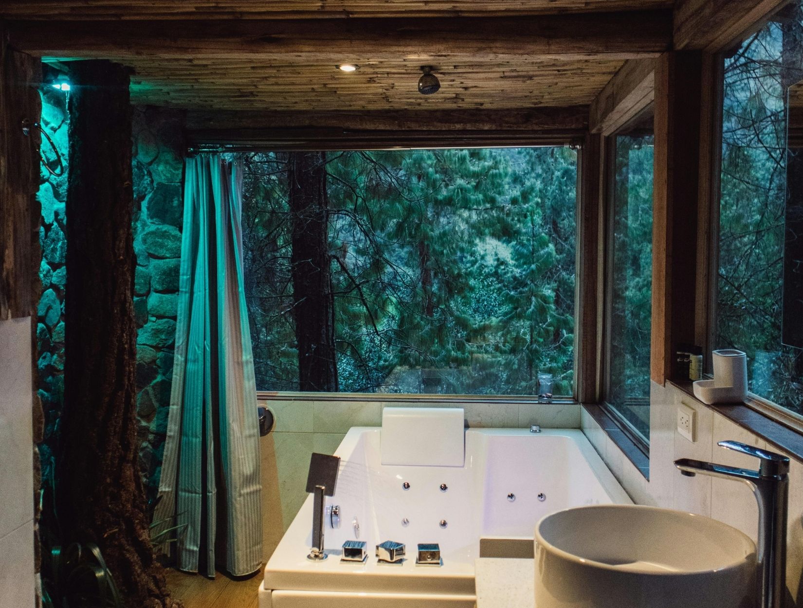 Carpet Cleaning for Stains, Odors, and Allergens