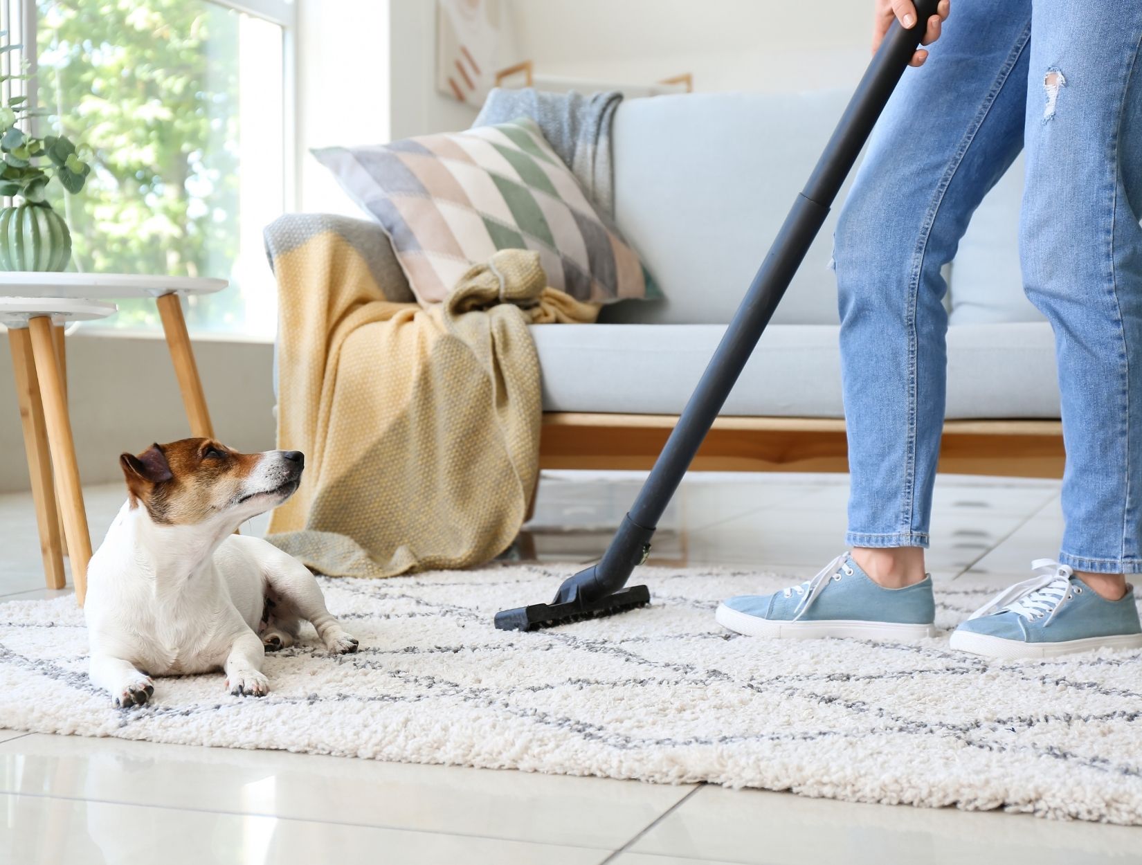 Do you offer disinfecting services?